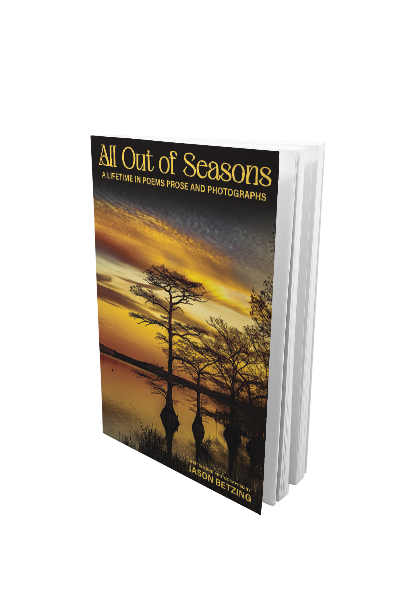 All Out of Seasons Paperback Cover